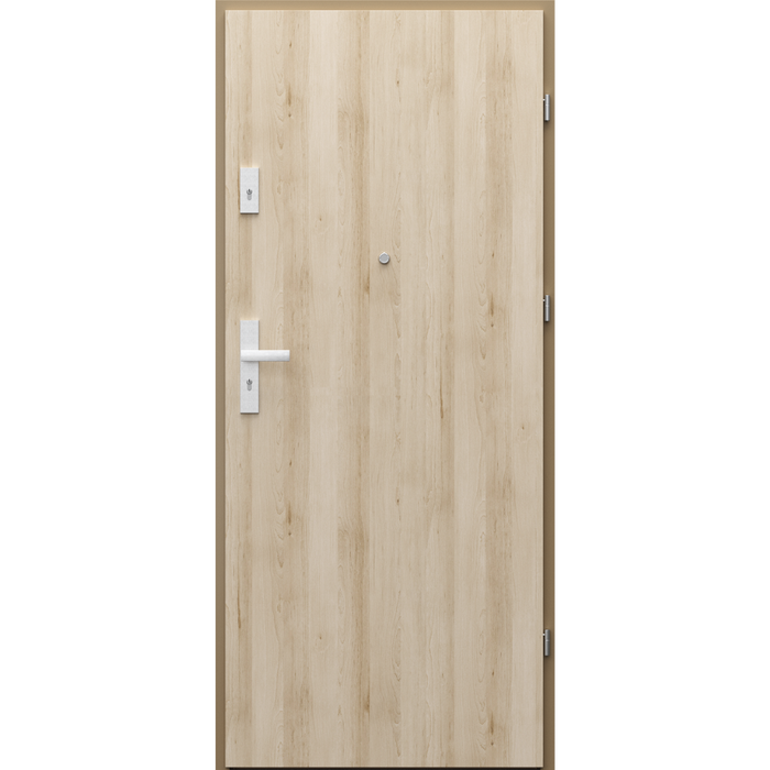 Drzwi wejściowe Porta AGAT z montażem