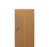Drzwi wejściowe z montażem Porta THERMO LINE z montażem